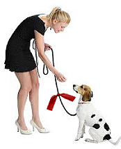 Red ribbon campaign for dogs
